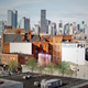 Image for article titled A Tower Grown From Fungus Is Coming to NYC This Summer